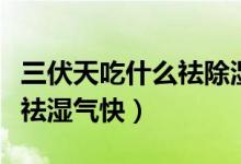 三伏天吃什么祛除濕氣最有效(三伏天吃什么祛濕氣快)