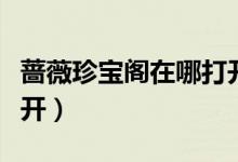 薔薇珍寶閣在哪打開最新（薔薇珍寶閣在哪打開）