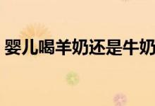 嬰兒喝羊奶還是牛奶好(羊奶好還是牛奶好)