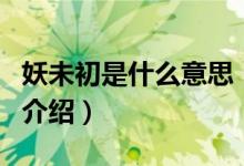 妖未初是什么意思(關(guān)于妖未初是什么意思的介紹)