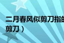 二月春風似剪刀指的是什么（什么二月春風似剪刀）