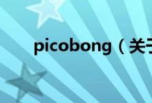 picobong（關于picobong的介紹）