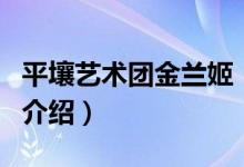 平壤藝術(shù)團(tuán)金蘭姬（關(guān)于平壤藝術(shù)團(tuán)金蘭姬的介紹）