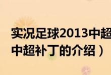 實(shí)況足球2013中超補(bǔ)丁（關(guān)于實(shí)況足球2013中超補(bǔ)丁的介紹）