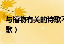 與植物有關(guān)的詩歌不是古詩（與植物有關(guān)的詩歌）