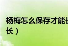 楊梅怎么保存才能長(zhǎng)時(shí)間（楊梅怎么保存時(shí)間長(zhǎng)）