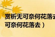 賞析無可奈何花落去似曾相識(shí)燕歸來（賞析無可奈何花落去）