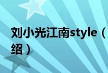 劉小光江南style（關于劉小光江南style的介紹）