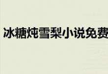 冰糖燉雪梨小說免費閱讀（冰糖燉雪梨評價）