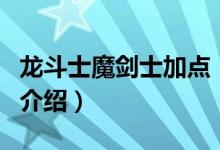 龍斗士魔劍士加點（關(guān)于龍斗士魔劍士加點的介紹）