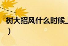 樹大招風什么時候上映的（樹大招風什么意思）