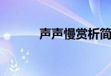 聲聲慢賞析簡(jiǎn)短（聲聲慢賞析）