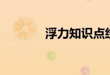 浮力知識(shí)點(diǎn)經(jīng)典歸納（浮力）