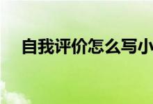 自我評(píng)價(jià)怎么寫小學(xué)（自我評(píng)價(jià)怎么寫）