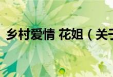鄉(xiāng)村愛情 花姐（關(guān)于鄉(xiāng)村愛情 花姐的介紹）