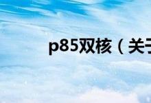 p85雙核（關(guān)于p85雙核的介紹）