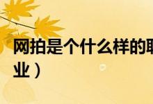 網(wǎng)拍是個(gè)什么樣的職業(yè)（網(wǎng)拍是個(gè)什么樣得職業(yè)）