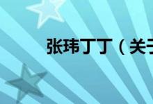 張瑋丁丁（關于張瑋丁丁的介紹）
