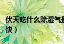 伏天吃什么除濕氣最快(伏天吃什么除濕氣最快)