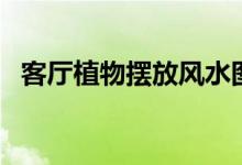 客廳植物擺放風(fēng)水圖（客廳植物擺放風(fēng)水）