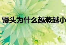 饅頭為什么越蒸越?。z頭為什么越嚼越甜）