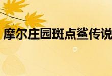 摩爾莊園斑點鯊傳說攻略（摩爾莊園斑點鯊）