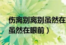 傷離別離別雖然在眼前說再見（傷離別 離別雖然在眼前）