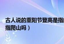 古人說的重陽節(jié)登高是指的爬高嗎(古人說的重陽節(jié)登高是指爬山嗎)