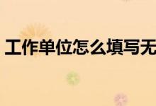 工作單位怎么填寫無業(yè)（工作單位怎么填寫）