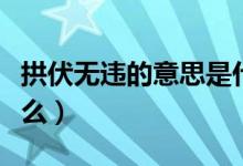 拱伏無(wú)違的意思是什么（拱伏無(wú)違的意思是什么）
