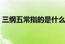 三綱五常指的是什么動物（三綱五常指什么）