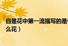 自是花中第一流描寫的是什么花（自是花中第一流寫的是什么花）