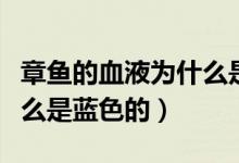 章魚的血液為什么是藍色的（章魚的血液為什么是藍色的）