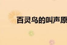 百靈鳥(niǎo)的叫聲原唱（百靈鳥(niǎo)的叫聲）