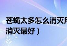蒼蠅太多怎么消滅用什么藥好（蒼蠅太多怎么消滅最好）