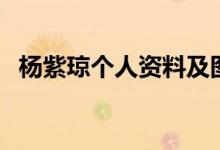 楊紫瓊個(gè)人資料及圖片（楊紫瓊個(gè)人資料）