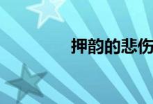 押韻的悲傷（押韻的網(wǎng)名）