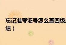 忘記準(zhǔn)考證號怎么查四級成績（忘記準(zhǔn)考證號怎么查四級成績）