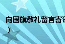 向國旗敬禮留言寄語怎么寫（向國旗敬禮留言）