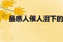 最感人催人淚下的歌曲（最感人一句話）