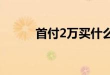 首付2萬(wàn)買(mǎi)什么車(chē)（首付演員表）