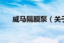威馬隔膜泵（關于威馬隔膜泵的介紹）