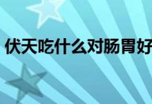 伏天吃什么對(duì)腸胃好（伏天吃什么對(duì)身體好）