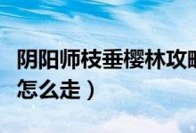 陰陽(yáng)師枝垂櫻林攻略有哪些（陰陽(yáng)師枝垂櫻林怎么走）