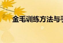 金毛訓(xùn)練方法與手勢（金毛訓(xùn)練方法）