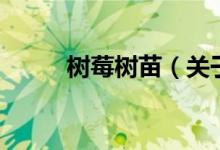 樹莓樹苗（關(guān)于樹莓樹苗的介紹）