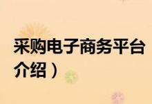 采購電子商務平臺（關于采購電子商務平臺的介紹）