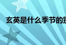 玄英是什么季節(jié)的別稱(玄英是哪個(gè)季節(jié))