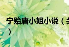 寧貽唐小姐小說（關(guān)于寧貽唐小姐小說的介紹）
