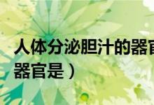 人體分泌膽汁的器官是哪個(gè)（人體分泌膽汁的器官是）